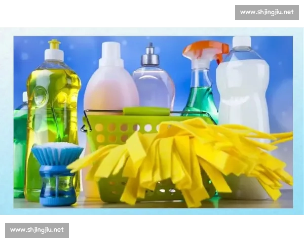 体育平台靠谱吗深度解析安全性合法性与用户真实体验评估全面指南